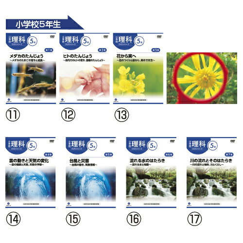 （まとめ）ミニケース M （10個）【×3セット】【日時指定不可】