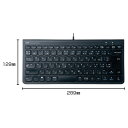 ★ポイント最大16倍★【教育施設様限定商品】-ed 137215 Type-Cミニキーボード メーカー名 サンワサプライ SKBSL32CBK-【教育・福祉】(2)