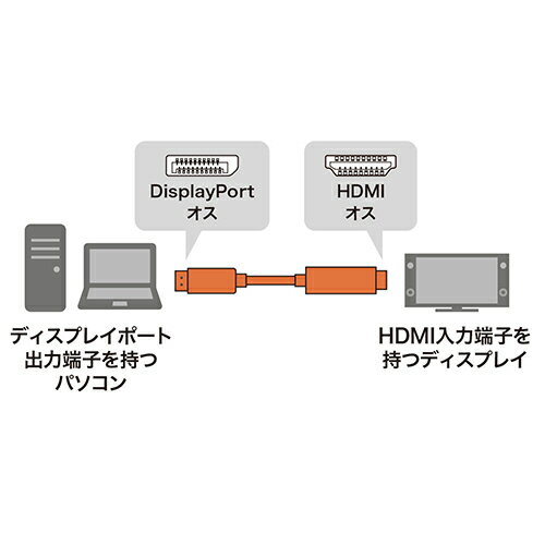 ★6/4-11 P最大27倍★【教育施設様限定商品】-ed 137242 ディスプレイ関連ケーブルDisplayPort−HDMI変換ケー1m メーカー名 サンワサプライ KC-DPHDA10-【教育・福祉】