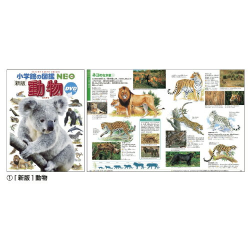 ★ポイント最大16倍★【教育施設様限定商品】-ed 140787 小学館の図鑑NEO（7）[新版］植物 メーカー名 小学館 NEOショクブツ-【教育・福祉】(3)