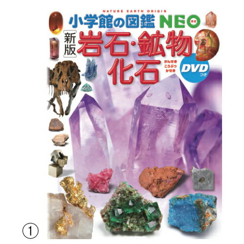 ★ポイント最大16倍★【教育施設様限定商品】-ed 140837 小学館の図鑑NEO(3)飼育と観察 メーカー名 小学館 NEOシイク-【教育・福祉】