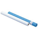 ★8/4-11 P最大27倍★【教育施設様限定商品】-ed 145769 ロール模造紙 白 50m巻 メーカー名 ゴークラ #55-【教育・福祉】