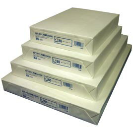 ★2/19-23 P最大27倍★【教育施設様限定商品】-ed 152491 再生PPC用紙100W（500枚）B4 メーカー名 王子製紙-【教育・福祉】