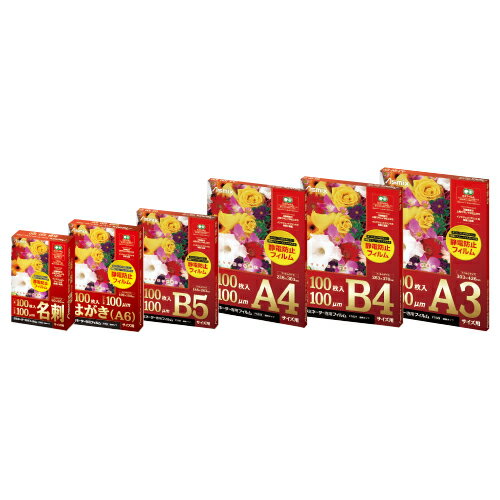 ★6/4-11 P最大27倍★【教育施設様限定商品】-ed 155577 ラミネーター専用静電防止フィルム（100枚）A4（216×303mm） メーカー名 アスカ F1026-【教育・福祉】