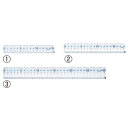 ★ポイント最大16倍★【教育施設様限定商品】-ed 159895 先生オススメ!定規・分度器(3)直定規(30cm) メーカー名 レイメイ藤井 APJ257-【教育・福祉】(4)