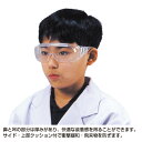 ★ポイント最大16倍★【教育施設様限定商品】-ed 159977 児童用安全めがね メーカー名 11630355-【教育・福祉】(4)