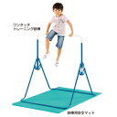 ★7/19-26 P最大27倍★【教育施設様限定商品】-ed 162993 鉄棒用安全マット メーカー名 61202-【教育・福祉】