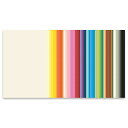 ★6/22-27 P最大27倍★【教育施設様限定商品】-ed 183446 色画用紙 フレッシュカラー A3ノビ(20枚)クリームA3ノビ (20枚) メーカー名 大王製紙 -【教育・福祉】