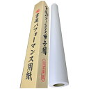★7/19-26 P最大27倍★【教育施設様限定商品】-ed 192050 書道パフォーマンス用紙 メーカー名 ゴークラ -【教育・福祉】