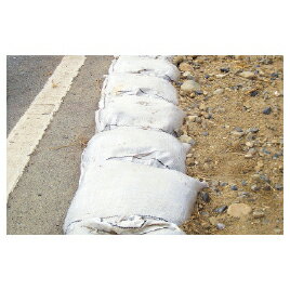 ★6/4-11 P最大27倍★【教育施設様限定商品】-ed 193951 スーパー土のう（50枚） メーカー名 4938-【教育・福祉】