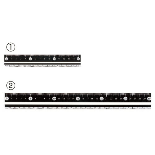 ★ポイント最大16倍★【教育施設様限定商品】-ed 210889 見やすい白黒定規(2)定規30cm メーカー名 レイメイ藤井 APJ281B-【教育・福祉】