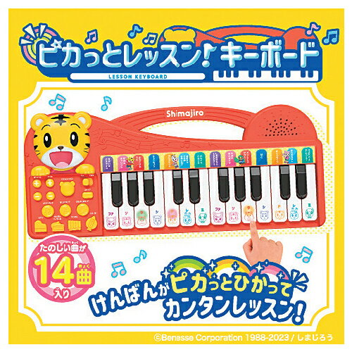 フリーズボックスBL 入数：12個