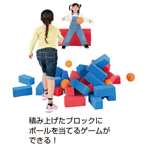 ★6/22-27 P最大27倍★【教育施設様限定商品】-ed 800581 ブロッシュボールセット メーカー名 エバニュー ETE080-【教育・福祉】