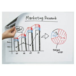 ★ポイント最大16倍★【教育施設様限定商品】-ed 123979 α-MAGホワイトボードシート（6）2400×1200mm メ..