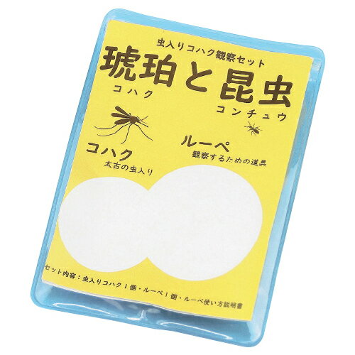 ★ポイント最大16倍★【教育施設様限定商品】-ed 127618 虫入りコハク観察セット メーカー名 S77-2104-【教育・福祉】