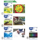 ★ポイント最大16倍★【教育施設様限定商品】-ed 127640 小学校理科DVD(12)5年 ヒトのたんじょう メーカー名 コロムビア COBE-7106-【教育・福祉】