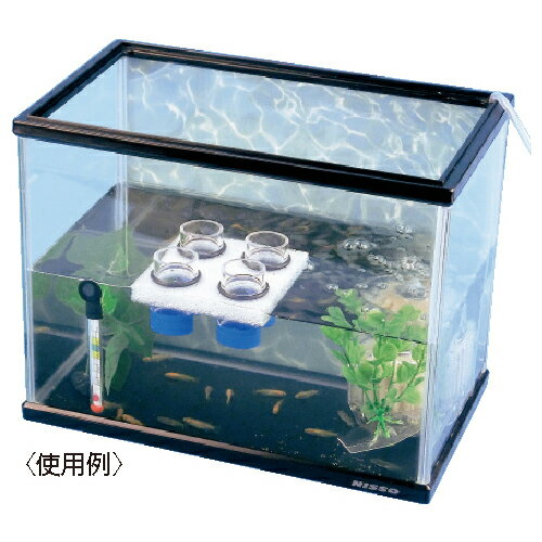 ★ポイント最大16倍★【教育施設様限定商品】-ed 156569 メダカの卵飼育観察セット メーカー名 G40-4331-【教育・福祉】