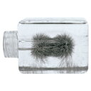 ★ポイント最大16倍★【教育施設様限定商品】-ed 156586 磁界観察器 メーカー名 B10-3735-【教育・福祉】