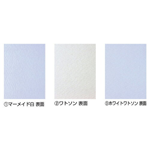 ★ポイント最大16倍★【教育施設様限定商品】-ed 161709 水彩紙 4ツ切（50枚）（2）ワトソン メーカー名 ..