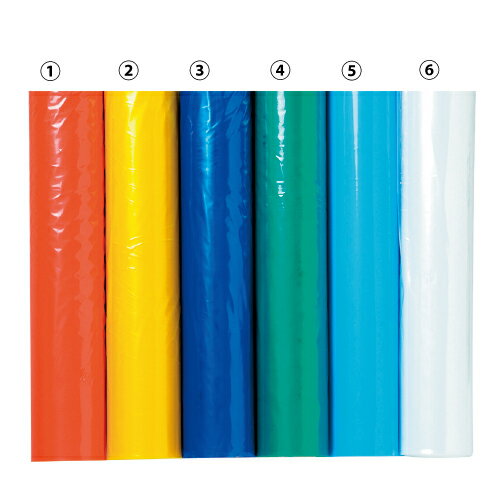 ★ポイント最大16倍★【教育施設様限定商品】-ed 193215 カラーポリロール(筒状)(6) 透明 メーカー名 サンワ 43896-【教育・福祉】