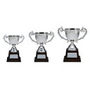 ★ポイント最大16倍★【教育施設様限定商品】-ed 800231 カップ 銀(1)NO−3524D メーカー名 2656732-【教育・福祉】