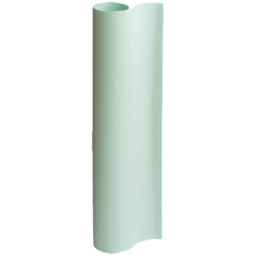 いまだけ！ポイント最大16倍-方眼模造紙50枚巻き