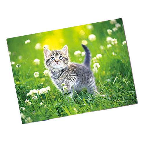 ★6/22-27 P最大27倍★【全国配送可】-フォト光沢紙 L版 100枚 KL100SLU　エプソン 品番 KL100SLU jtx 135273-【ジョインテックス・JOINTEX】JAN 4988617158207 メーカー在庫品