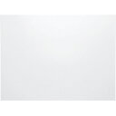 ★5/9-16 P最大27倍★【全国配送可】-マグネスクリーン MS50 50型 ニチレイマ 品番 MS50 jtx 333577-【ジョインテックス・JOIN...