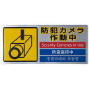 ★ポイント最大16倍★【全国配送可】-ピクトステッカー 防犯カメラ作動 SEC291-1 光 品番 SEC291-1 jtx 764274-【ジョインテックス・JOINTEX】JAN 4977720291116 メーカー在庫品(3)