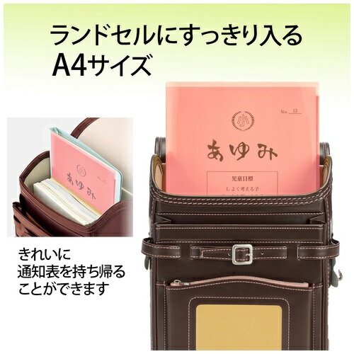 ★ポイント最大16倍★【全国配送可】-通知表ホルダー A4 FL-190SF PK　プラス 品番 79723 jtx 79723-【ジョインテックス・JOINTEX】JAN 4977564687137 メーカー在庫品