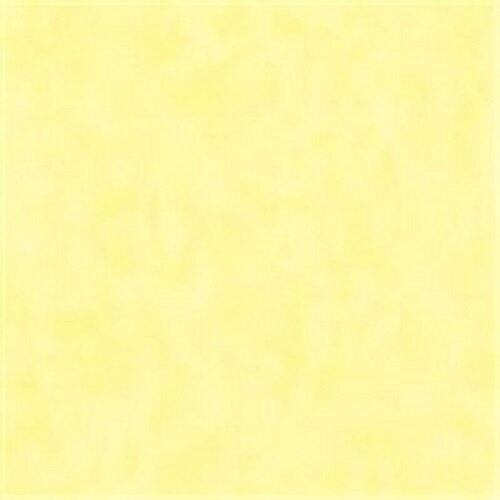 ★ポイント最大16倍★【全国配送可】-やよいカラー 4ツ切10枚 うすきいろ 北越コーポ 品番 ヤヨイカラーR4キリ10マイ ウスキイロ jtx 805292-【ジョインテックス・JOINTEX】JAN 4535449705057 メーカー在庫品