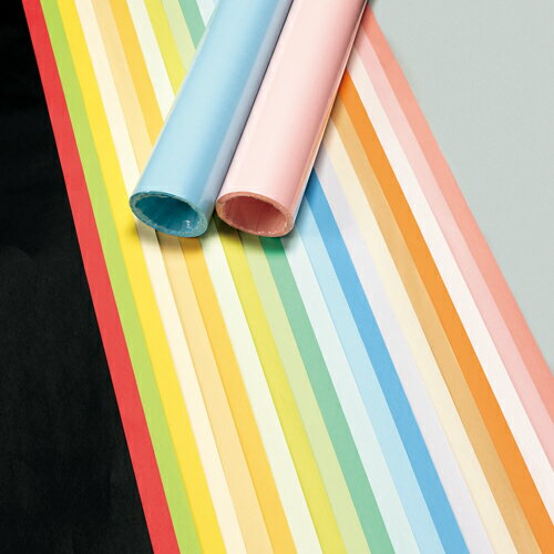 ★ポイント最大16倍★【全国配送可】-色模造紙 中厚 20枚 タ944 白茶 菅公工業 品番 タ944 jtx 809695-【ジョインテックス・JOINTEX】JAN 4971655429446 メーカー在庫品