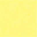 ★6/22-27 P最大27倍★【全国配送可】-やよいカラー 4ツ切100枚 レモン 北越コーポ 品番 ヤヨイカラー4ツギリ レモン100マイ jtx 880633-【ジョインテックス・JOINTEX】JAN 4535449726045 メーカー在庫品