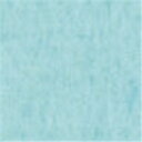 ★6/22-27 P最大27倍★【全国配送可】-やよいカラー 8ツ切100枚 あさぎ 北越コーポ 品番 ヤヨイカラー8ツキリ アサギ100マイ jtx 880639-【ジョインテックス・JOINTEX】JAN 4535449712086 メーカー在庫品