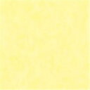 ★6/22-27 P最大27倍★【全国配送可】-やよいカラー 8ツ切100枚 うすきいろ 北越コーポ 品番 ヤヨイカラー8キリ ウスキイロ100マイ jtx 880642-【ジョインテックス・JOINTEX】JAN 4535449705088 メーカー在庫品