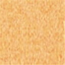 ★6/22-27 P最大27倍★【全国配送可】-やよいカラー 8ツ切100枚 オレンジ 北越コーポ 品番 ヤヨイカラー8キリ オレンジ100マイ jtx 880651-【ジョインテックス・JOINTEX】JAN 4535449732381 メーカー在庫品