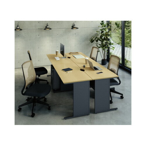 ★ポイント最大16倍★【送料・組立・設置が無料】-(PD-1060-NAFGY)Pデスク平机 幅1000 天板NA脚DGY 株式会社Y2Kkaf011139 ●土曜日にも配送可!(日祝除く)●個人様お届け可能!-【お買い得商品】 [2]