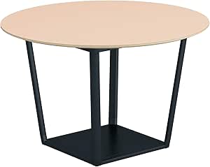 ★ポイント最大16倍★【送料無料】- ラウンジテーブル　リージョン　ボックス脚 LT-RGC12ME6AF85N ブラッ..