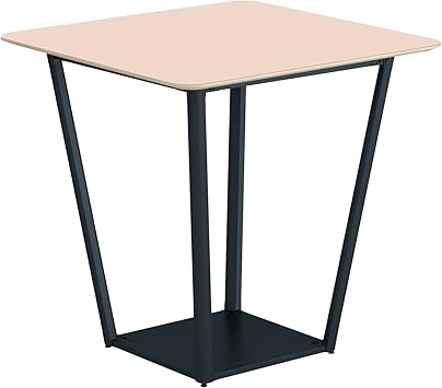 ݥȺ16ܡ̵- 饦󥸥ơ֥롡꡼󡡥ܥå LT-RG1010HE6AF85 ֥åѥ 65646441  kokuyo -ڥȶ