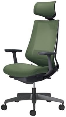 ★5/23-27 P最大27倍★【送料無料】- チェア　デュオラ2　ブラック脚　メッシュ C08-B312MW-BQ6Q61 20353575 コクヨ kokuyo -【コクヨ家具】