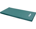 ★7/4-11 P最大27倍★【全国配送可】-Fit-Tex (フィットテックス) SA-1021L 181×90×8cm シーホネンス JAN kt35958...