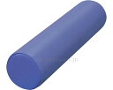 ★5/9-16 P最大27倍★【全国配送可】-カラーサークル 中 TB-77C-54 φ12×50cm 黒 高田ベッド製作所 JAN kt401185 取寄品 健康管理 トレーニング小物 (トレーニング小物)-【介護福祉用具】(4)