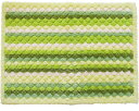 ★ポイント最大16倍★【全国配送可】-乾度良好抗カビプラス バスマット 45×60cm グリーン オカ JAN 4548622655339 kt486929 取...