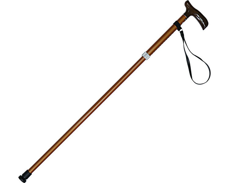 ★ポイント最大16倍★【全国配送可】-かるケイン　柿茶（かきちゃ） Lサイズ 田辺プレス　JAN 4580274450..