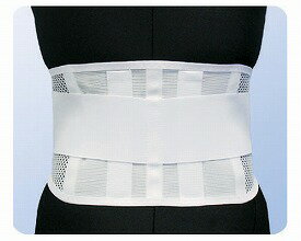 ★ポイント最大16倍★【全国配送可】-プロフィット・メッシュ　プラステイ 9903　ホワイト　LL アシスト　JAN 4995256099037 kt287740 取寄品 衣類 サポーター 腰・骨盤-【介護福祉用具】