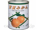 ★7/4-11 P最大27倍★【全国配送可】-甘夏ミカン 850g(40~49粒) ストー缶詰 JAN 4901802021841 kt291201 取寄品 食事関連 介護食・健康食品 食品-【介護福祉用具】