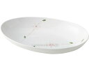 ★ポイント最大16倍★【全国配送可】-楕円大鉢 255×160×H50 817-MNDO ラインフラワー(赤) 朝日化工 JAN kt354662 取寄品 食事...