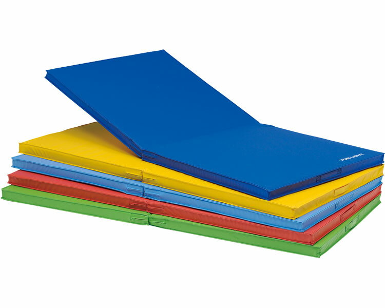 ★ポイント最大16倍★【全国配送可】-屋内外兼用マットF T-1961S　スカイブルー トーエイライト　JAN 4518891260893 kt363351 取寄品 健康管理 スポーツ用品 スポーツ用具-【介護福祉用具】