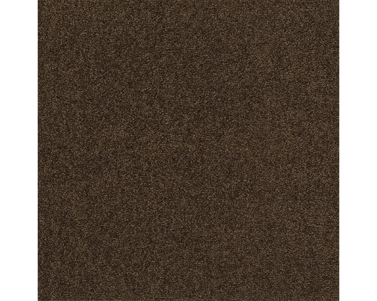 ݥȺ16ܡġ-å270Хե AK2713祳 ꡡJAN 4992219197687 kt389383   Τ¾ ¾(Τ¾)-ڲʡѶ