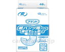 ★ポイント最大16倍★【全国配送可】-Rケア 紙パンツ用尿取リパッド座位モレモ防グ 21001052 48枚 2回吸収 大王製紙 JAN 49020117757...